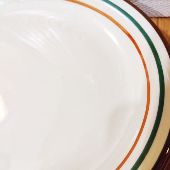 Vtg Jackson Custom China Restaurant Ware Oval Plate Brown Green Orange on Beige - Picture 10 of 11